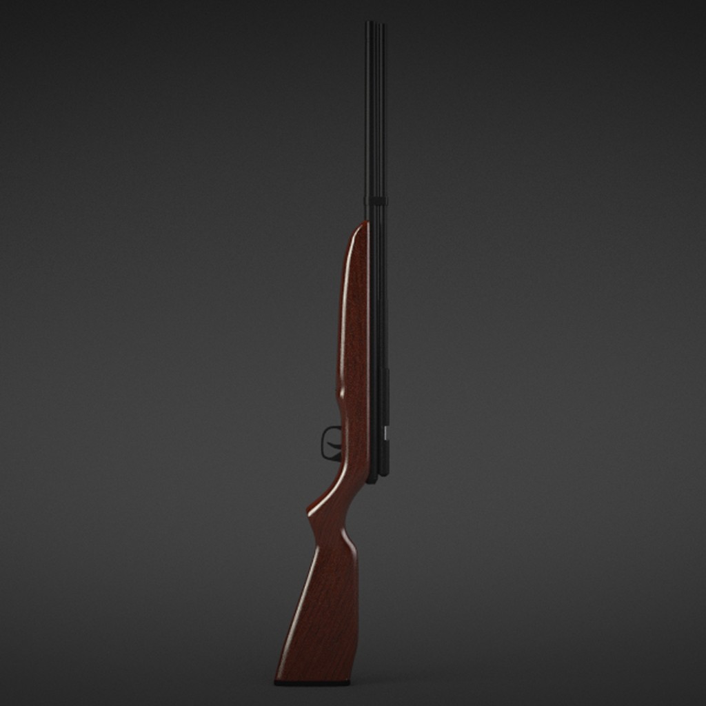Benjamin Discovery Hunting Rifle preview image 1